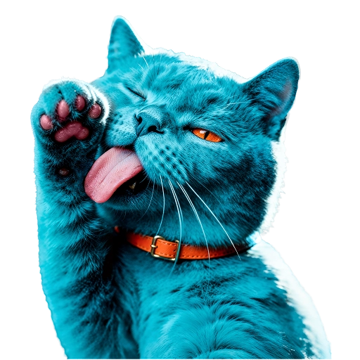 nuevo casino CATBET